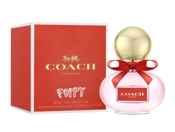 Coach Poppy - Image 2